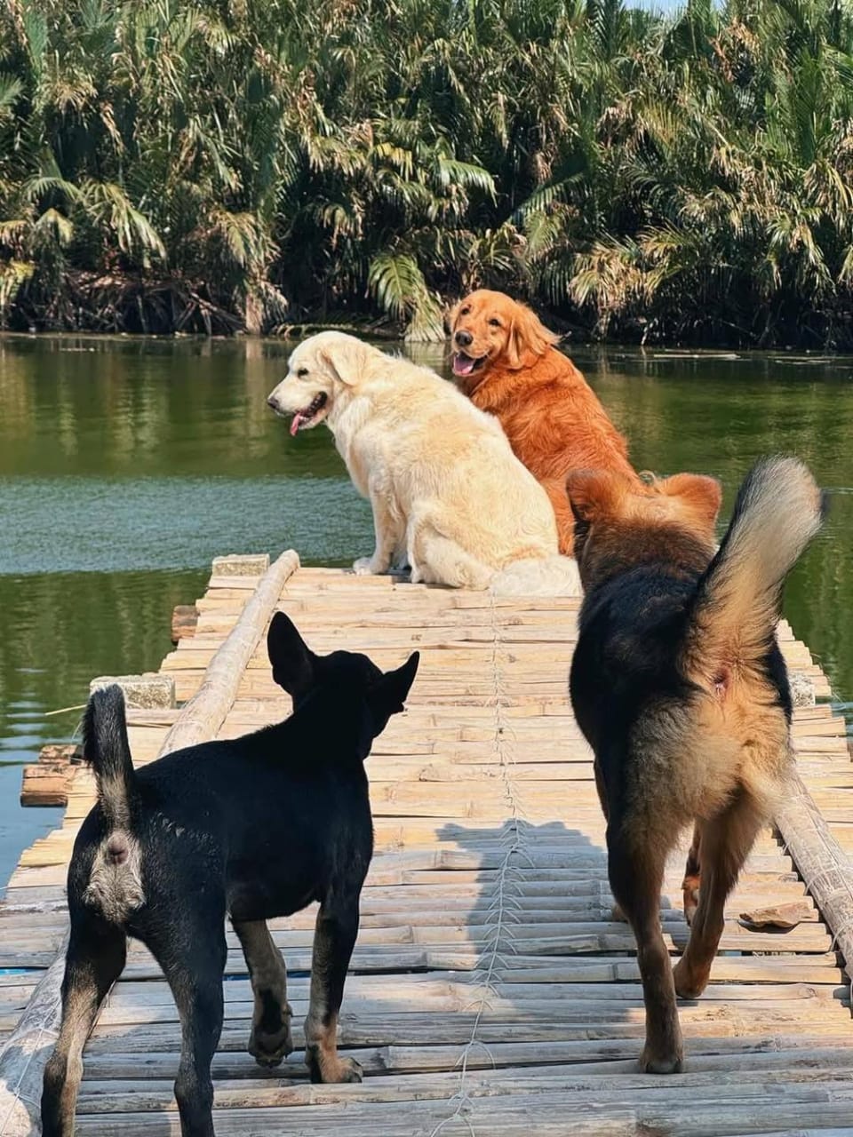 Neighbourhood