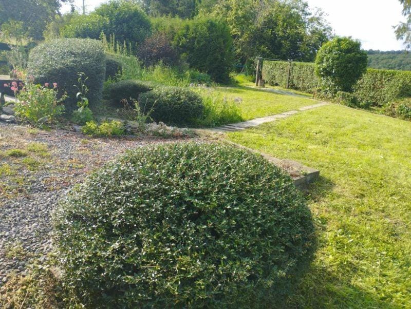Garden, View (from property/room)