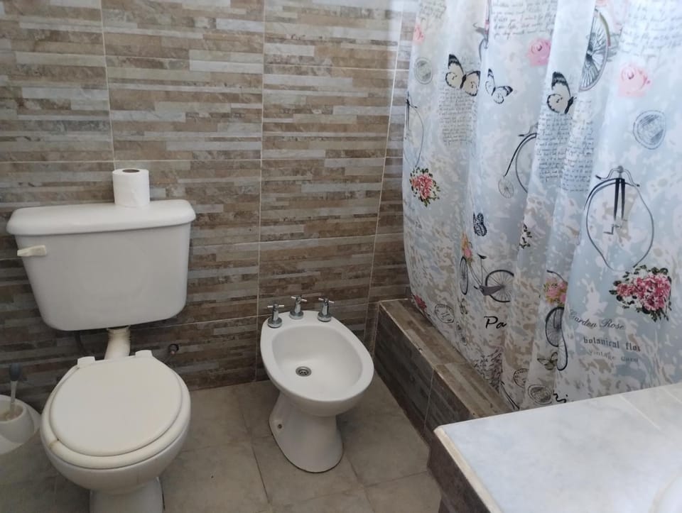 Shower, Bathroom, bidet
