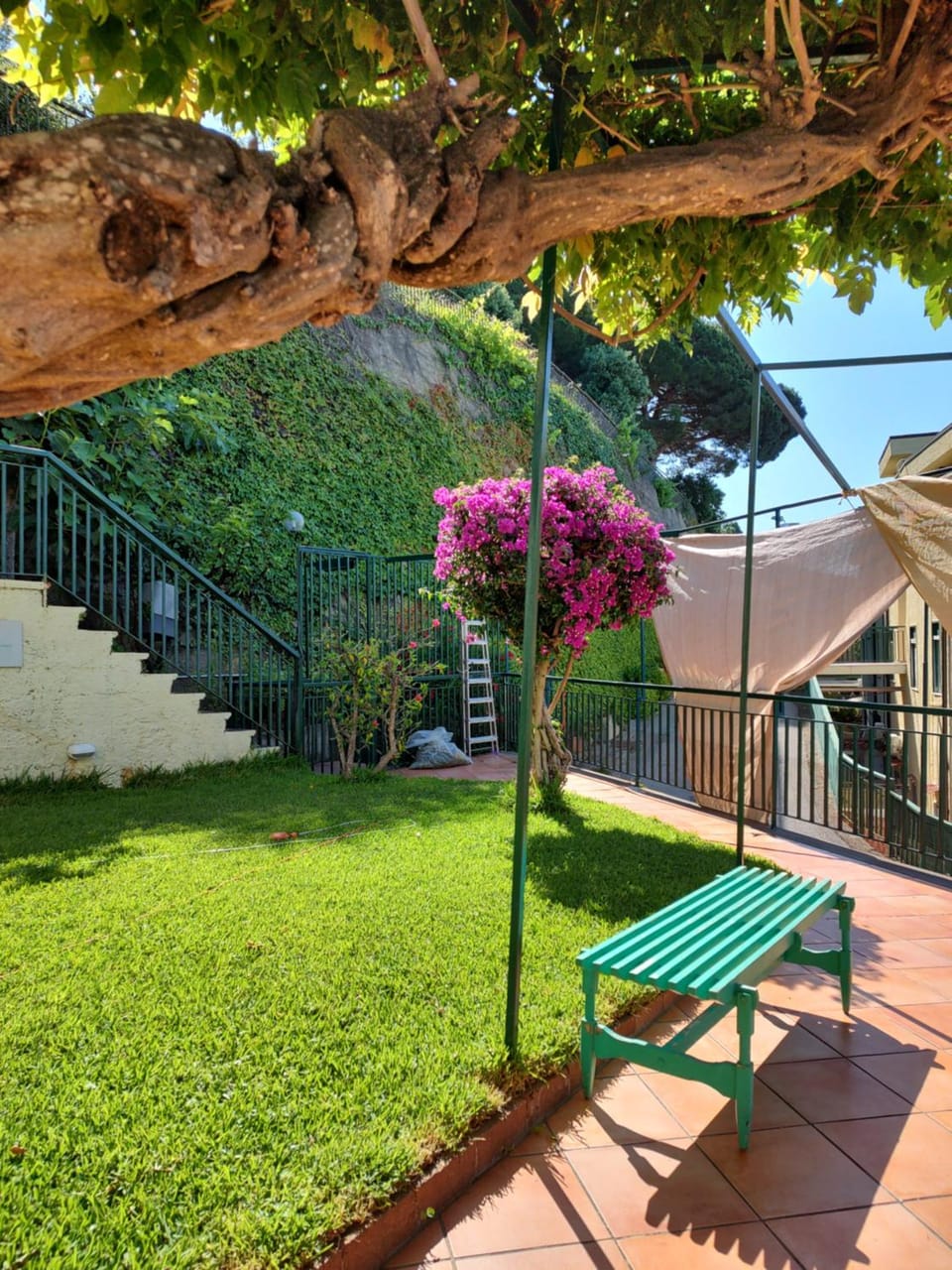 Garden, Garden view