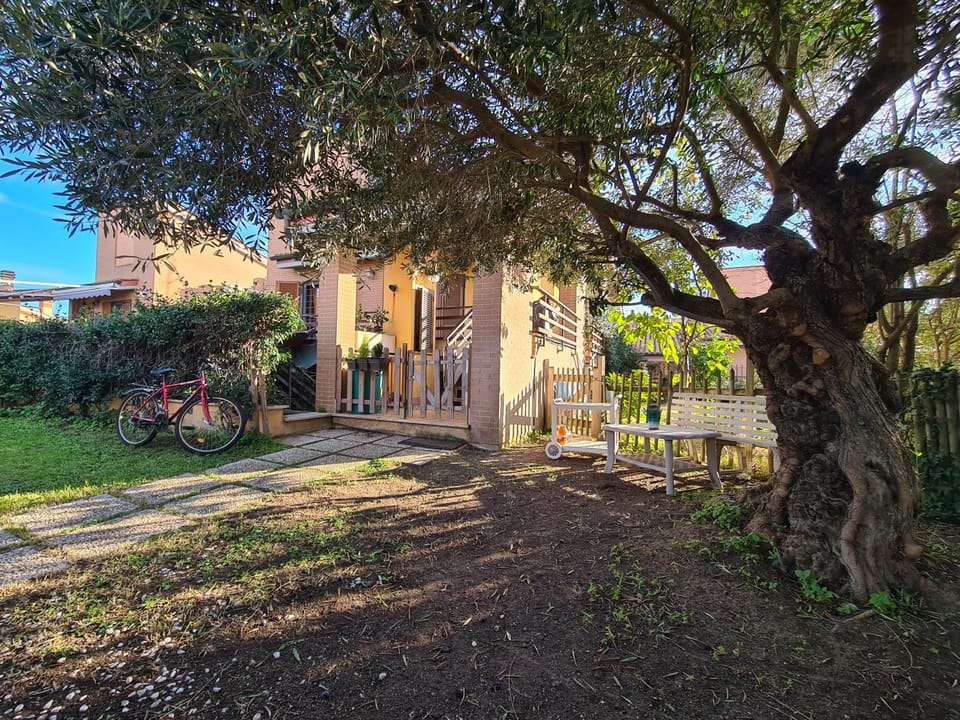 Property building, Garden view