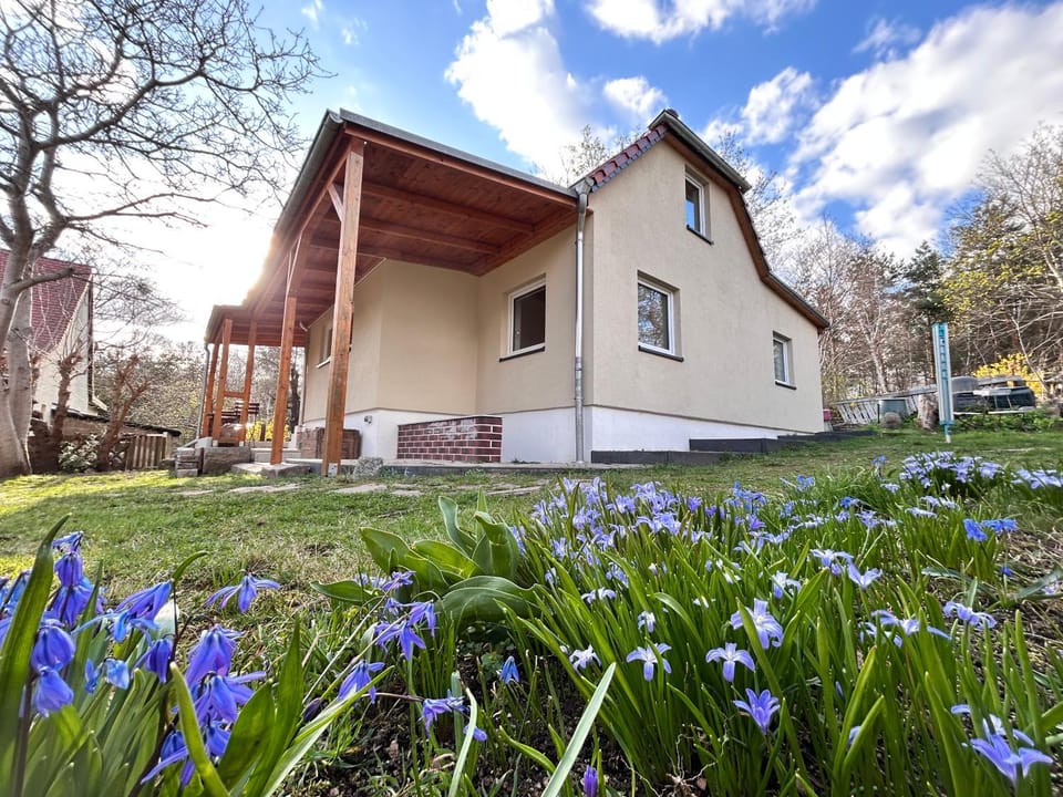 Property building, Spring