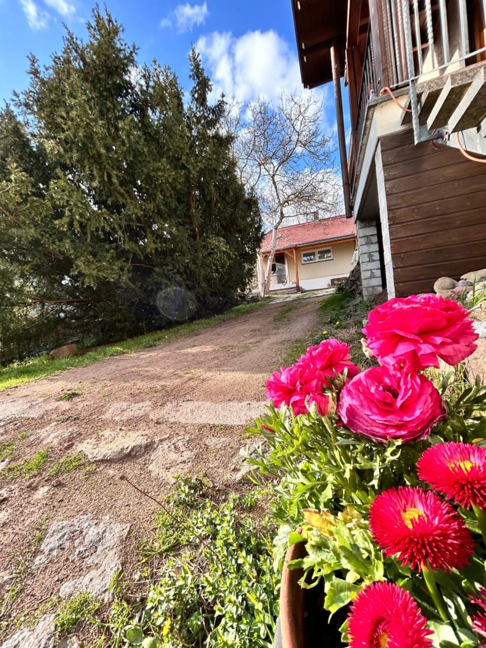 Property building, Spring, Garden view, Inner courtyard view