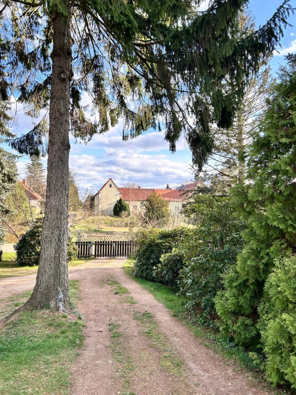 Spring, Garden view, Inner courtyard view