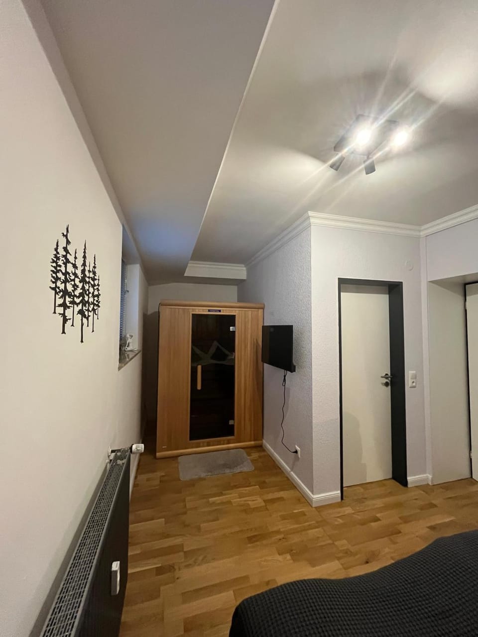 Sauna, Sauna, TV and multimedia