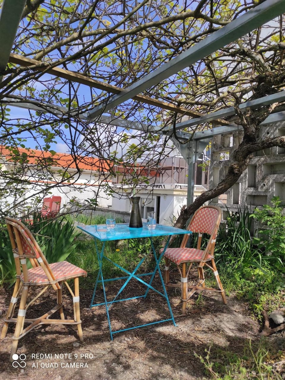 Patio, Garden, Garden view