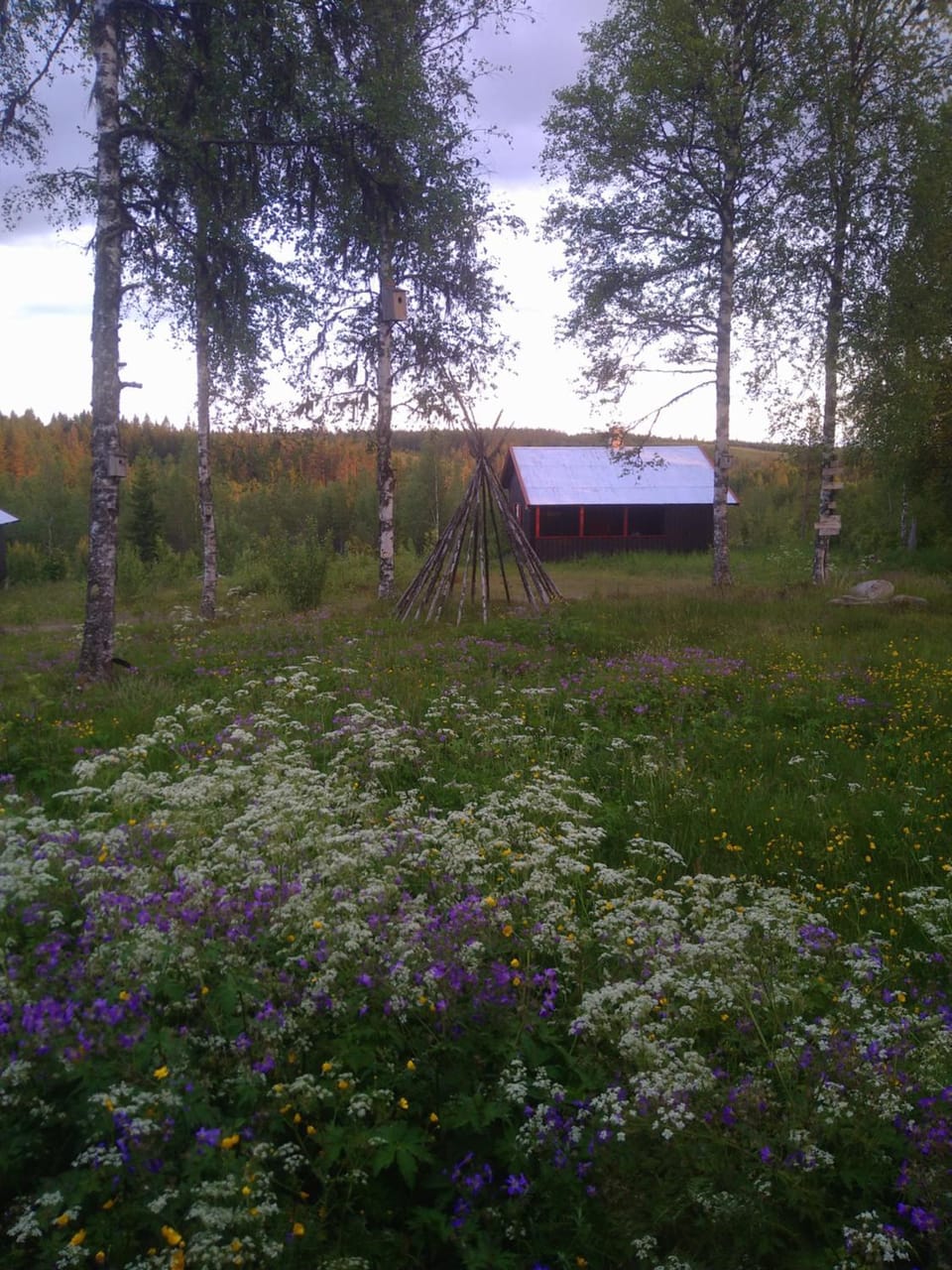 Spring, Natural landscape, Garden, Garden view
