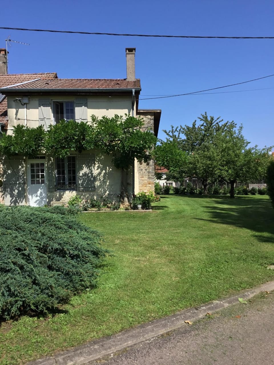 Natural landscape, Garden, Garden view
