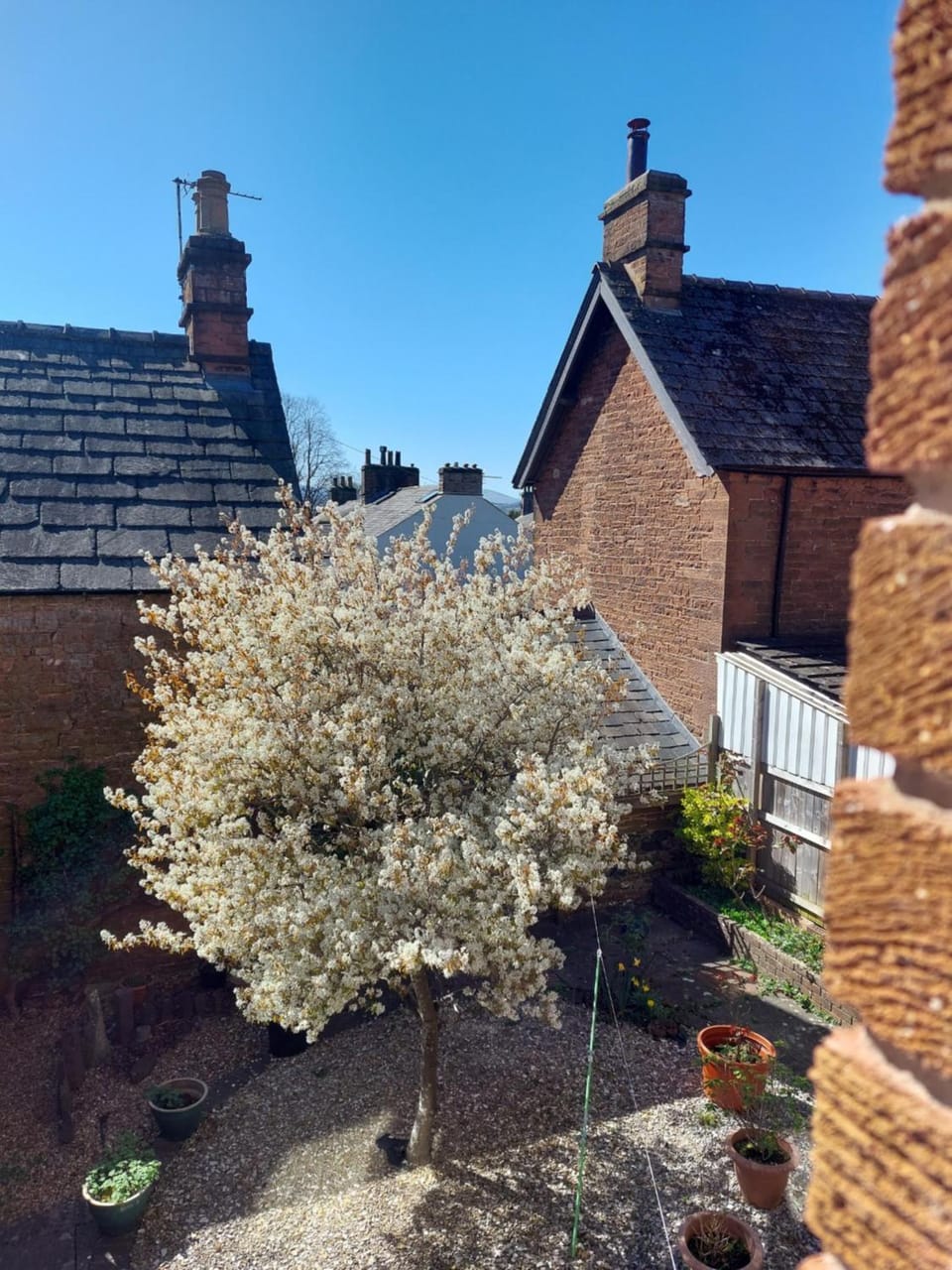 Garden view