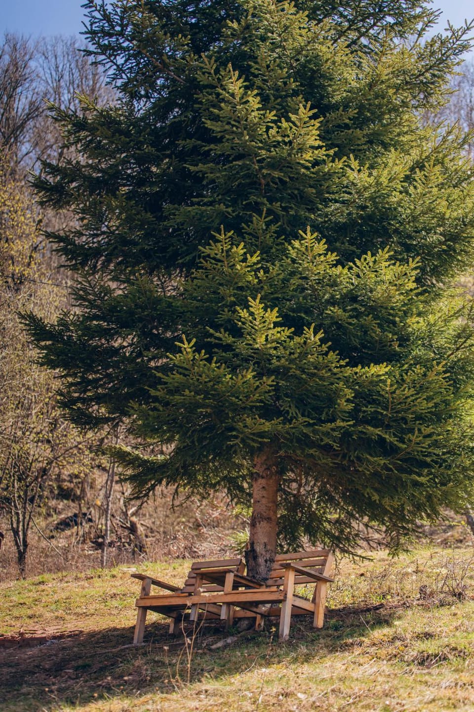 Spring, Day, Natural landscape, Garden view