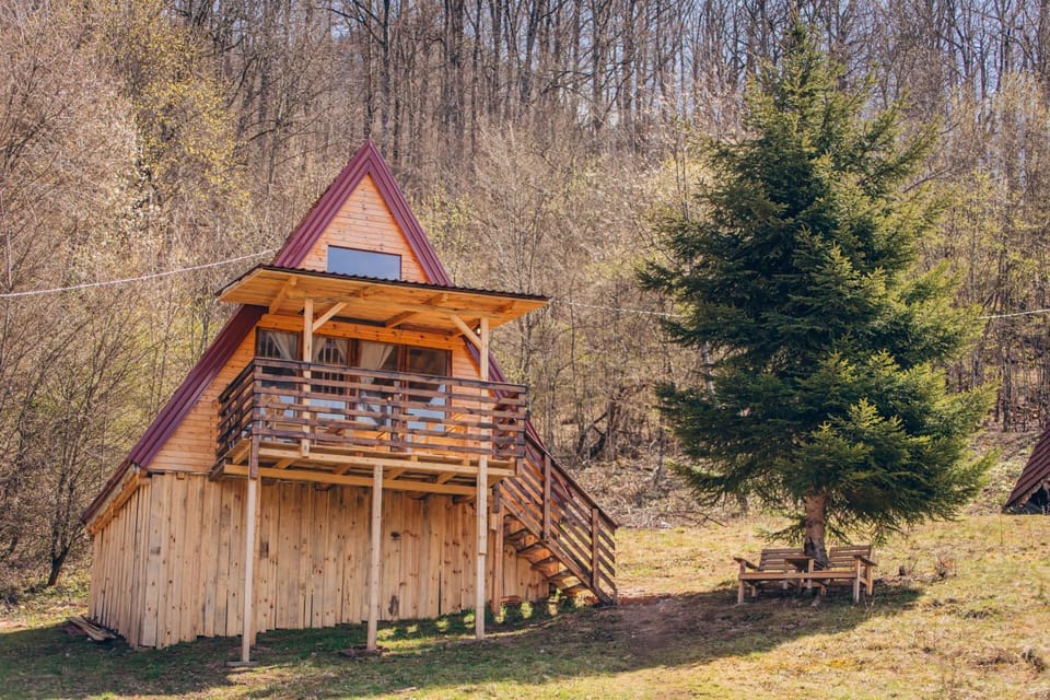 Property building, Spring, Day, Natural landscape, Garden, Garden view