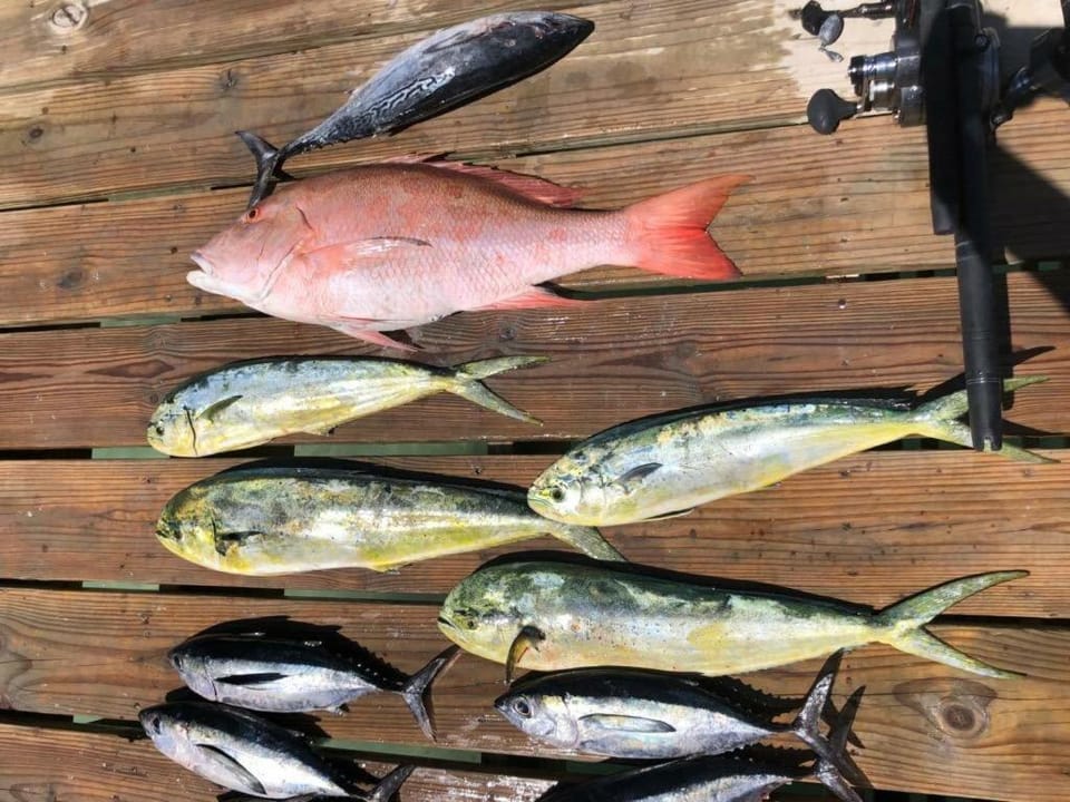 Paridise luxury & fishing canal Home House in Tavernier