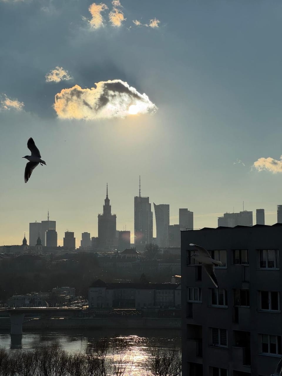 Day, Natural landscape, City view, River view