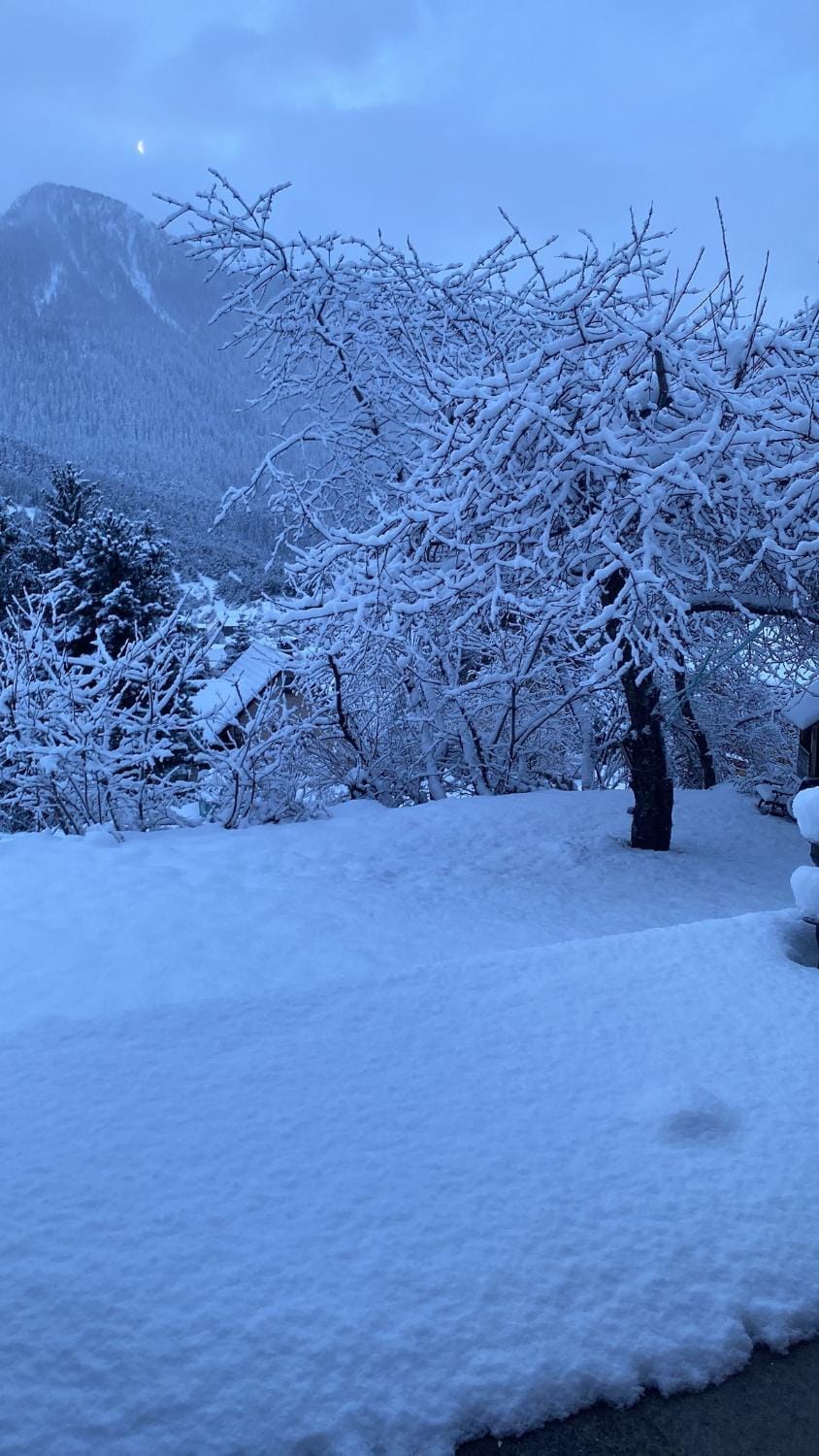 Les 3 flocons Chalet in Piedmont