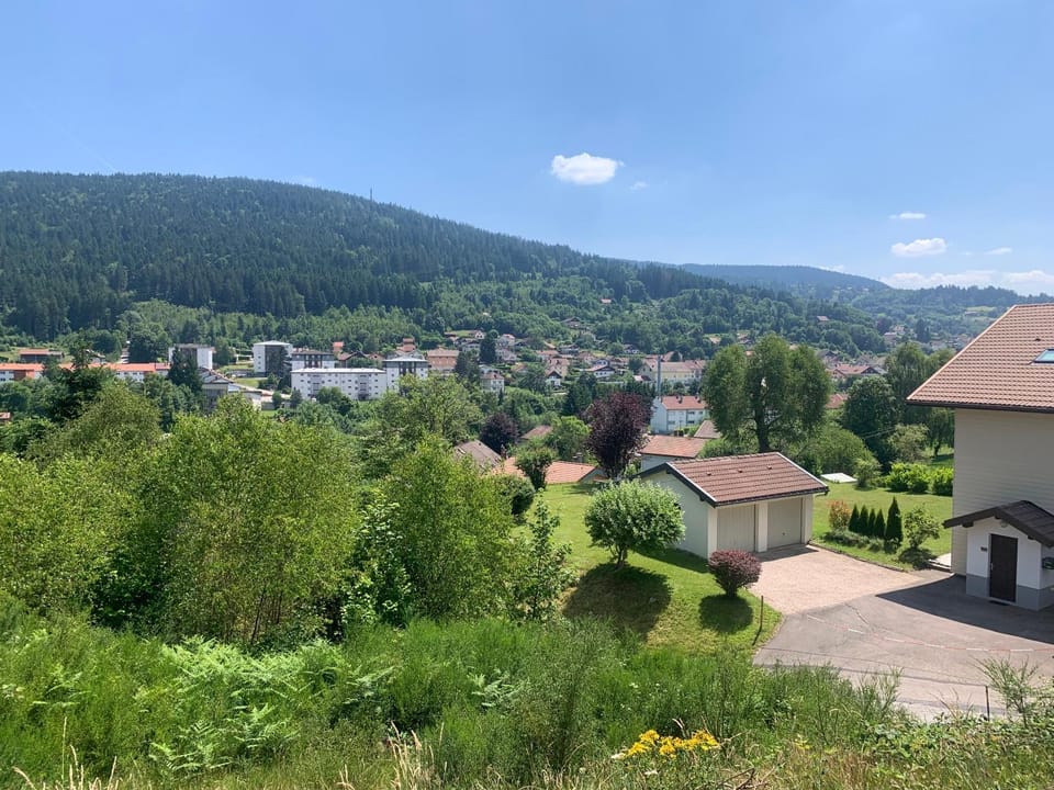 City view