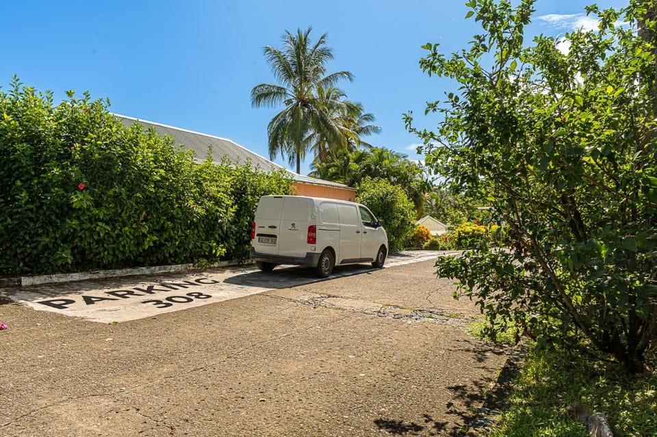 Spring, Day, Natural landscape, Parking