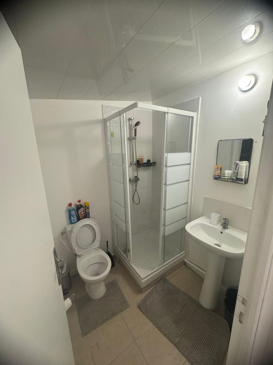 Shower, Toilet, Bathroom
