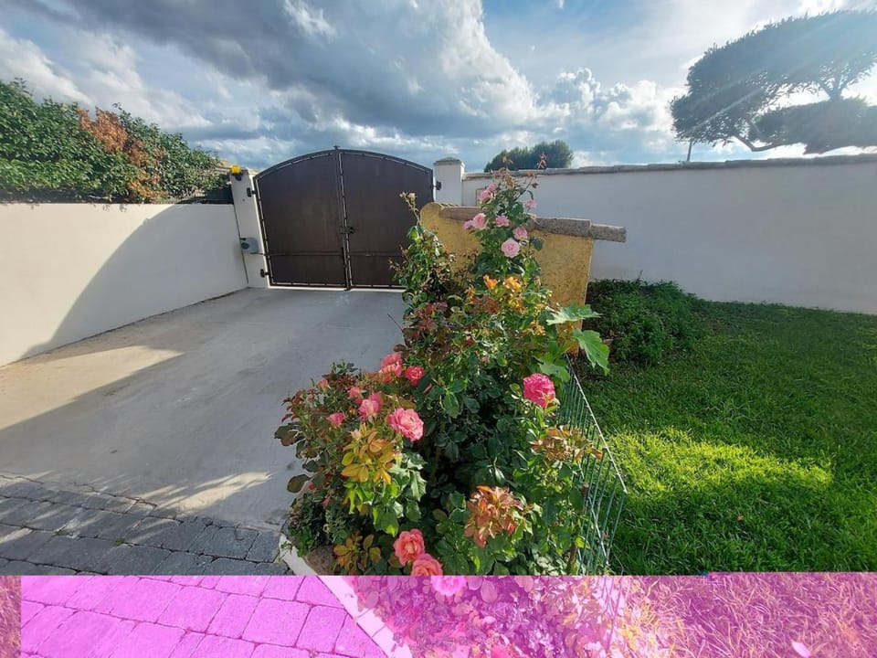Property building, Day, Garden, Garden view