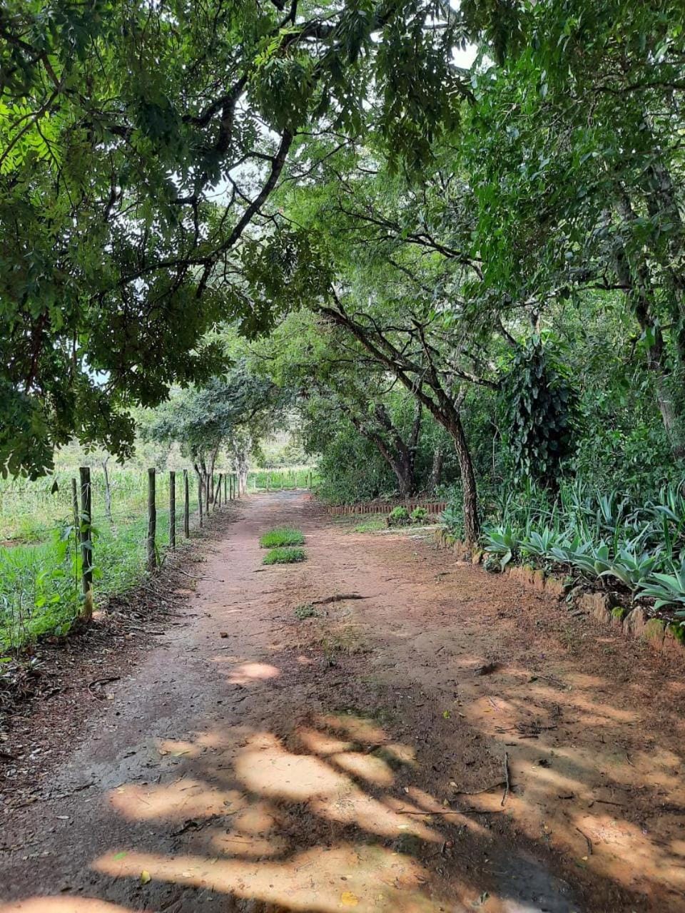 Hiking