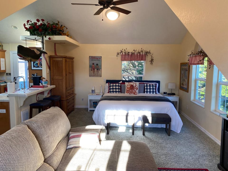Photo of the whole room