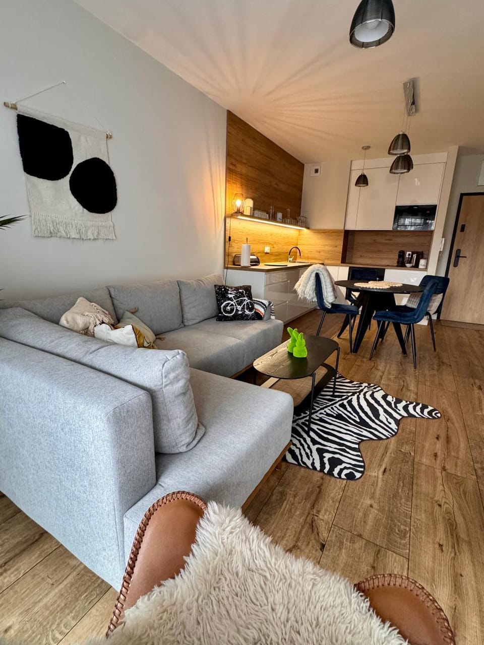 TV and multimedia, Kitchen or kitchenette, Living room, Photo of the whole room, Seating area, Dining area