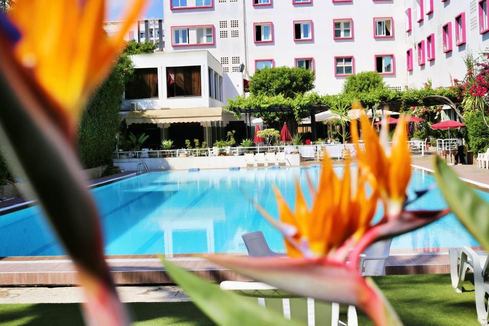 Garden, Swimming pool