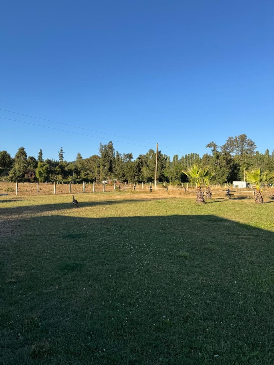 Acogedora Casa de Campo para 10 Personas House in Araucania, Chile