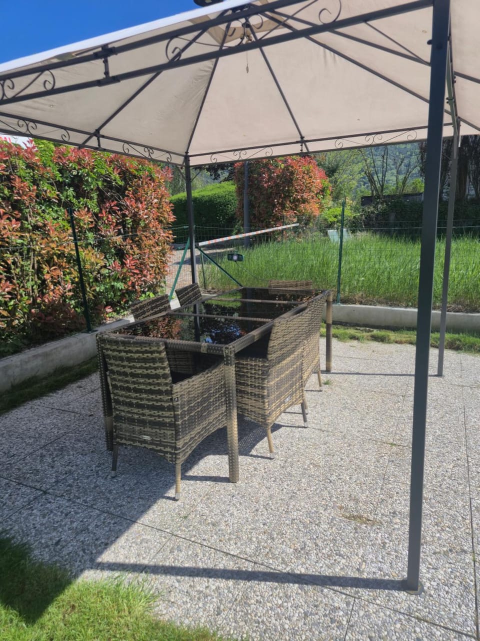 Patio, Day, Garden, Garden view