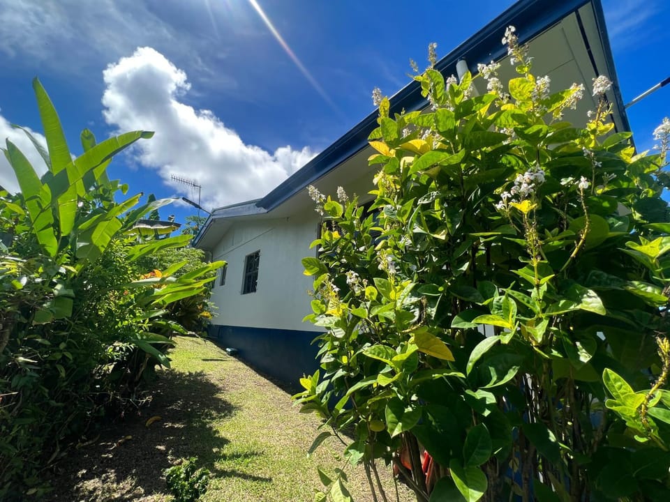 Day, Garden view