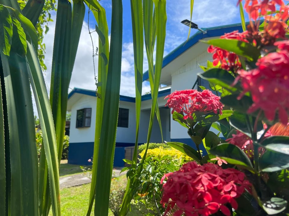 Property building, Day, Garden
