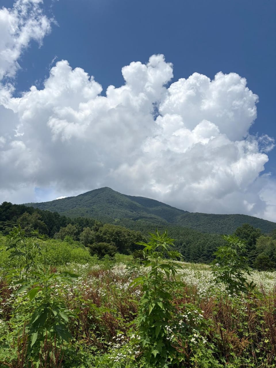 Day, Neighbourhood, Natural landscape, Mountain view