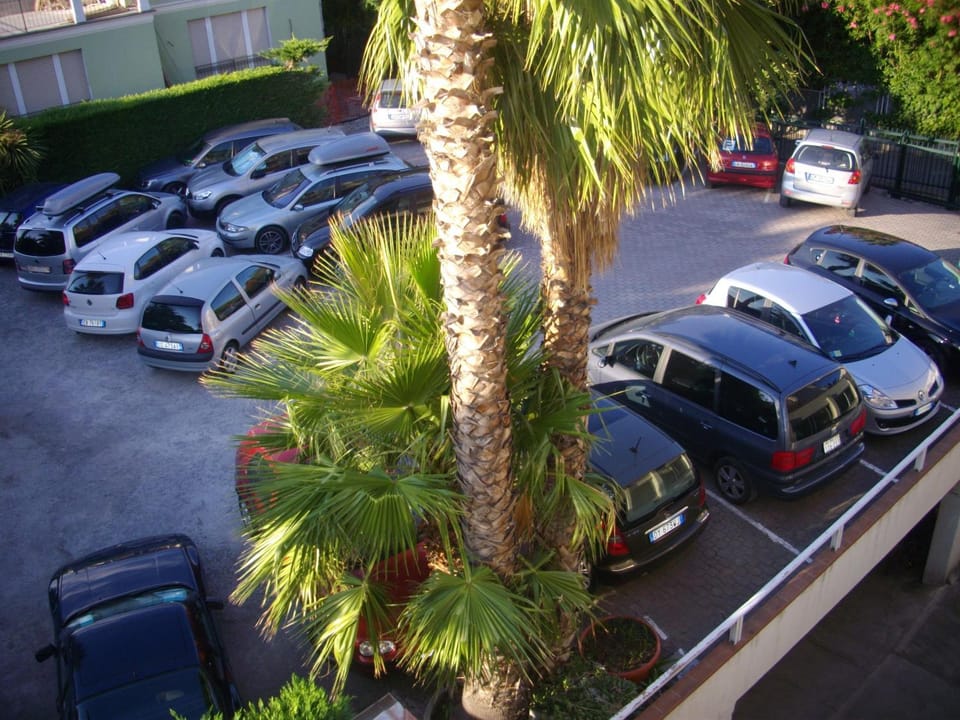 Bird's eye view, Other, Area and facilities