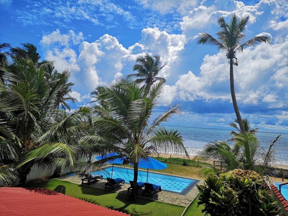 Patio, Natural landscape, Garden, View (from property/room), Balcony/Terrace, Other, Beach, Swimming pool, furniture, sunbed