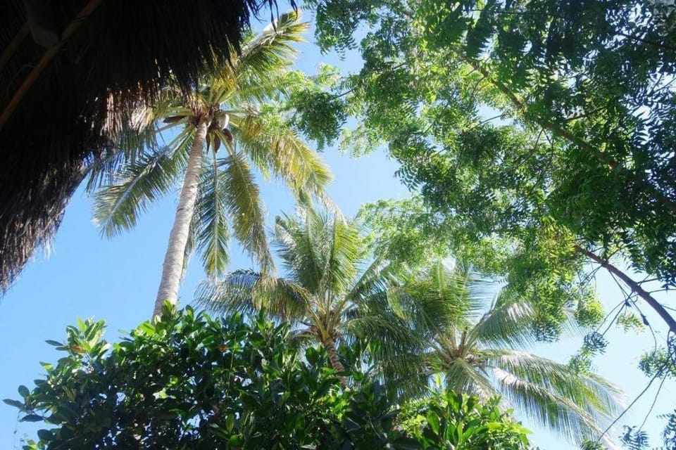 Casa Clara 2 bedrooms and 2 kitchens with a Large Flowery Garden House in Lo de Marcos
