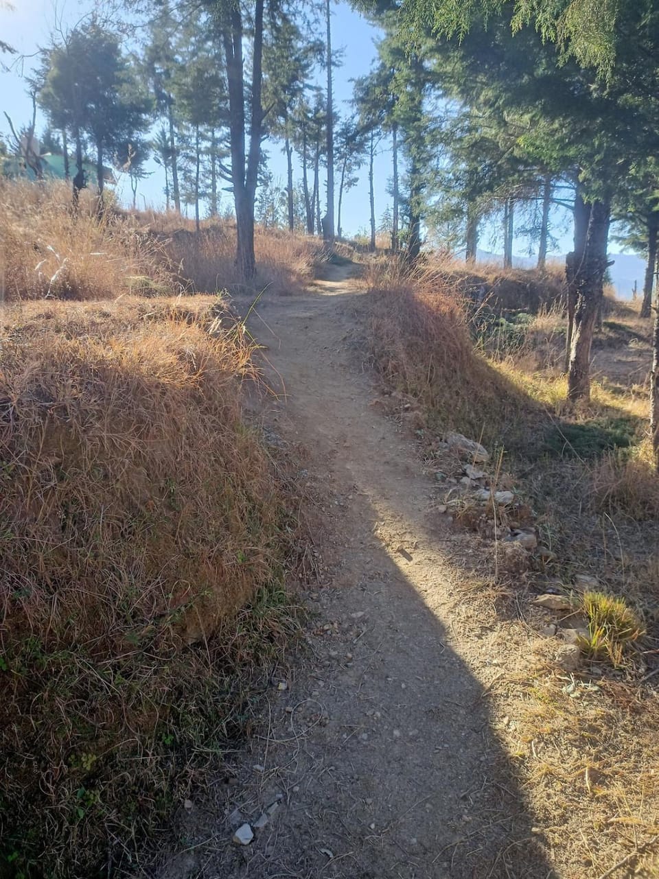 Almora Nainital-Kausani Highway Kosi Bazar House in Uttarakhand