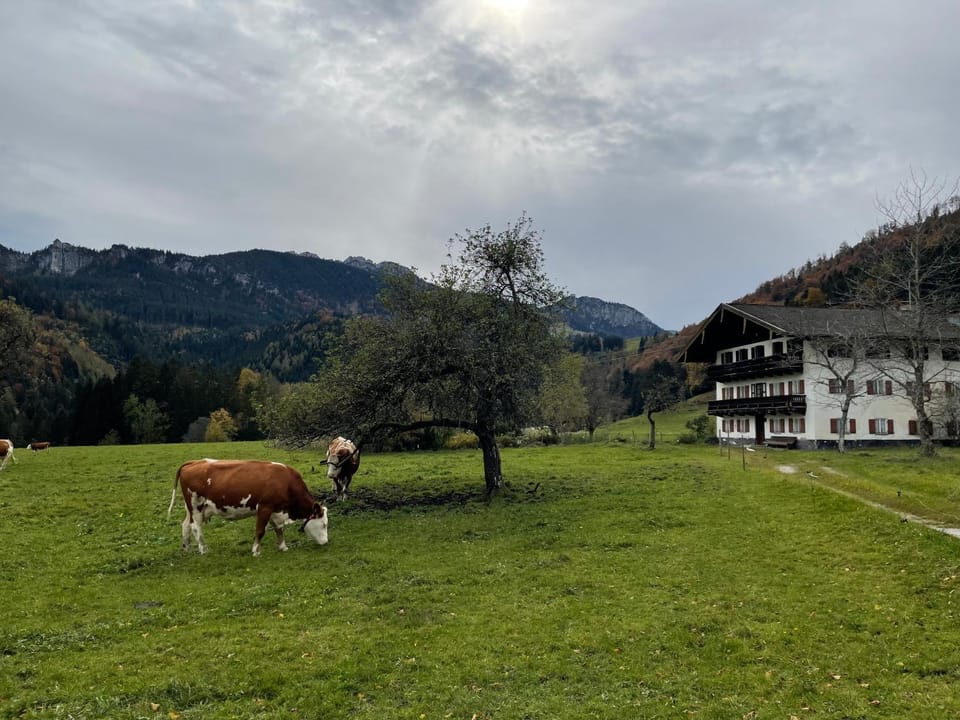 Ferienwohnung Berglodge Chiemsee Apartment in Aschau im Chiemgau