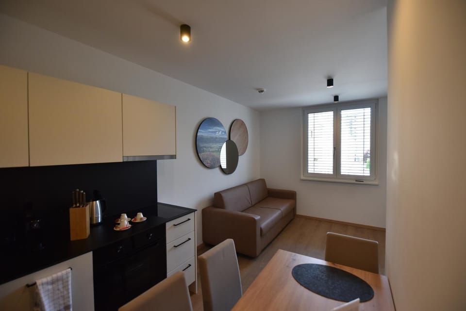 Kitchen or kitchenette, Living room, Seating area, Dining area, oven
