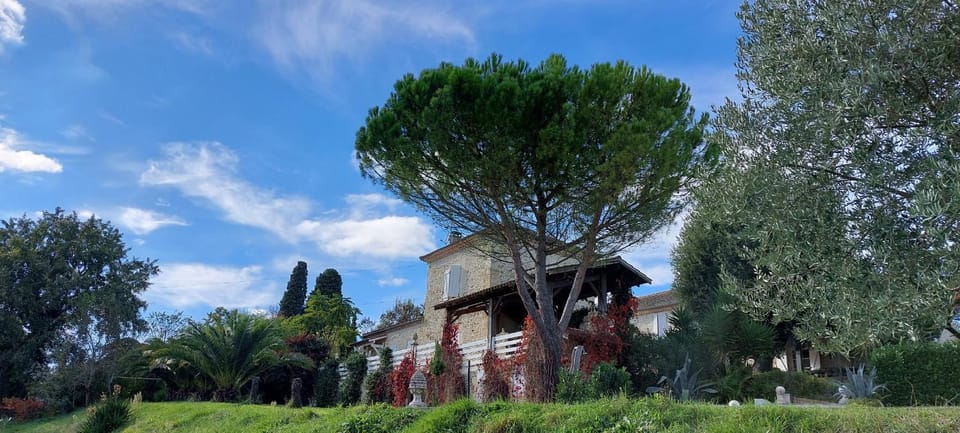 Garden view