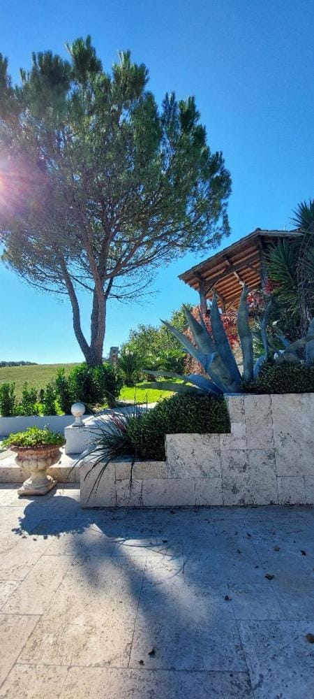 Domaine de Larroucau House in Occitanie