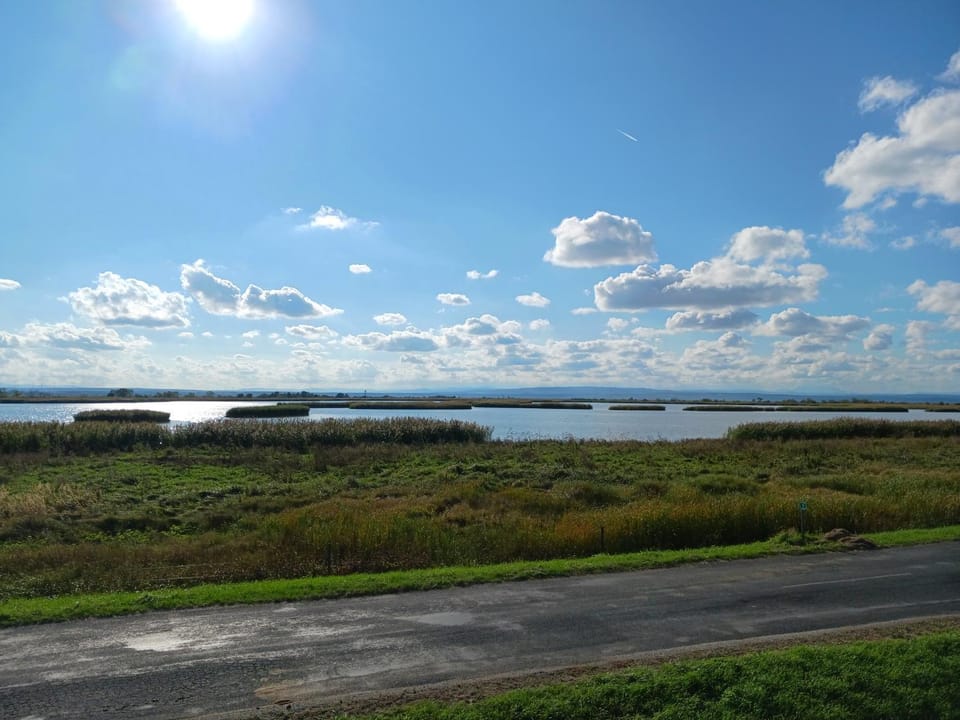 Natural landscape