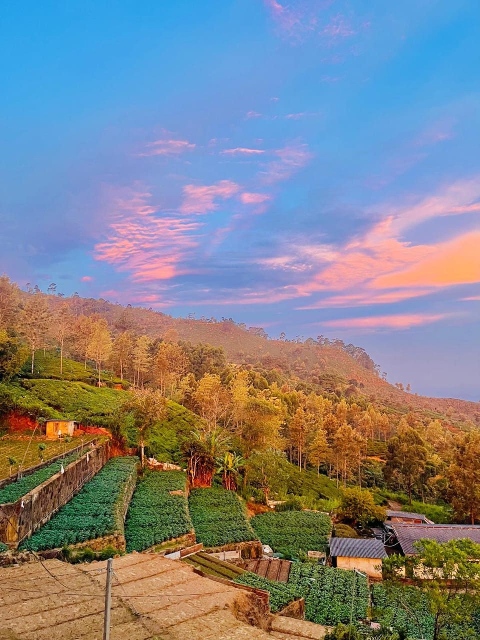 Spring, Day, Natural landscape, Garden, Garden view, Mountain view, Sunrise, Sunset