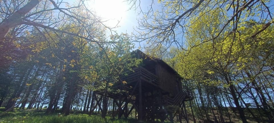 Spring, Natural landscape