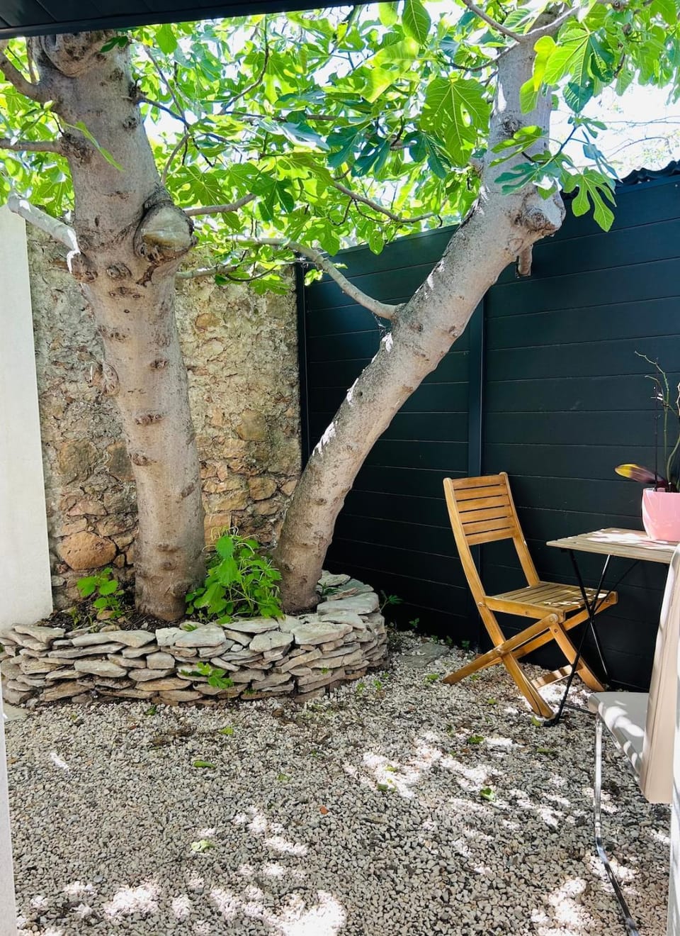 Studio avec Jardin Apartment in Balaruc-les-Bains