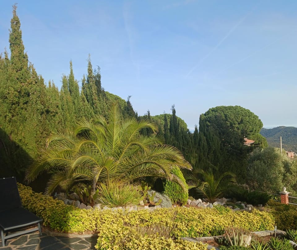 Natural landscape, Garden view
