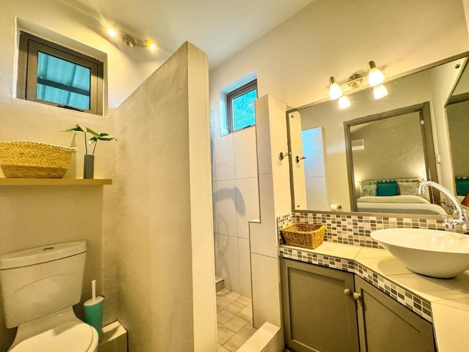 Shower, Toilet, Bathroom, towels