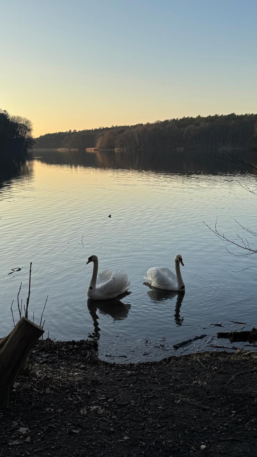 Nearby landmark, Natural landscape, Lake view