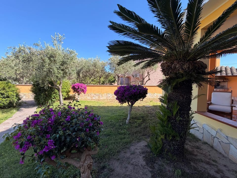 BeLocations - House 50 meters from the sea House in Sardinia
