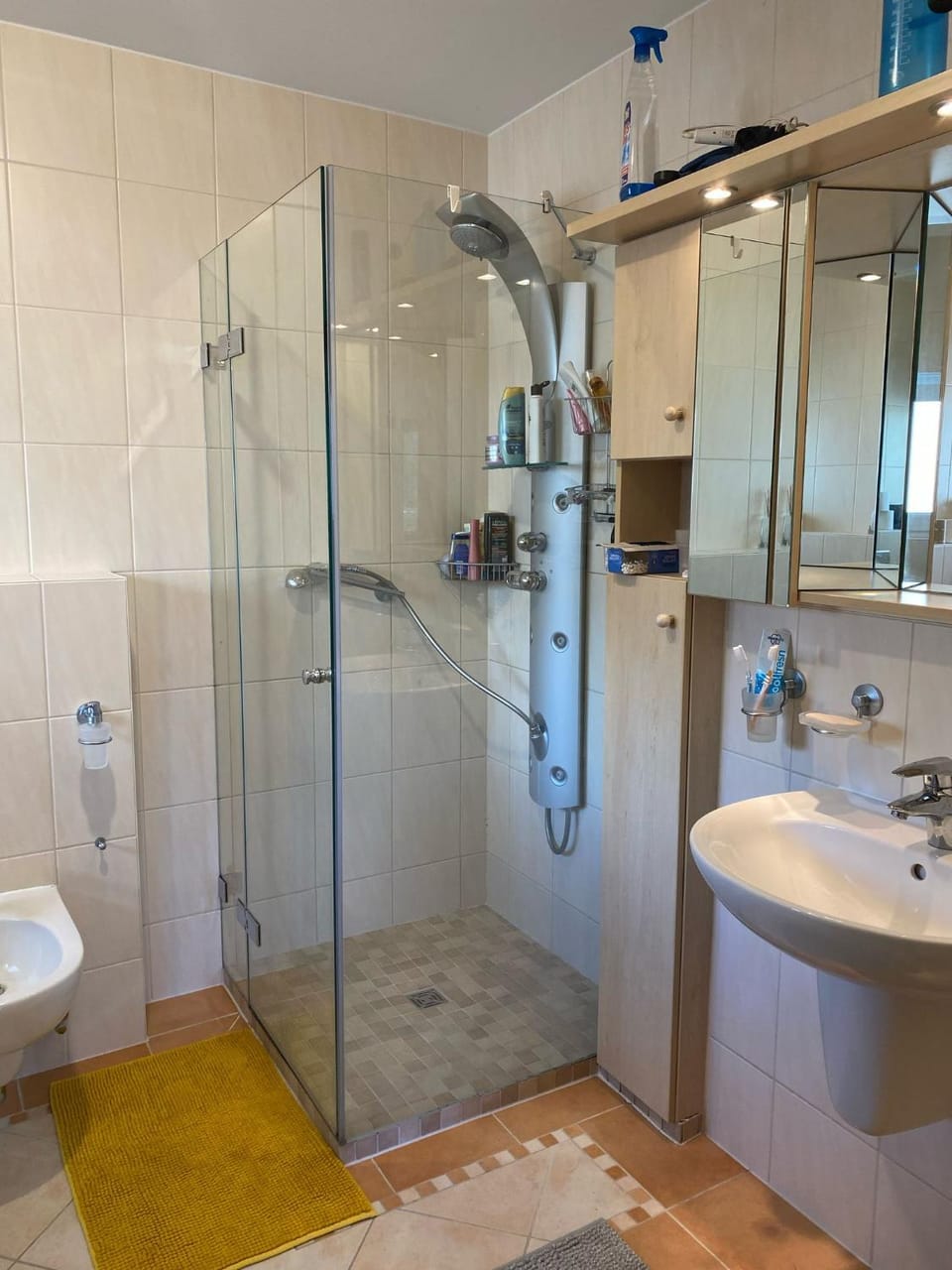 Shower, Toilet, Bathroom, towels
