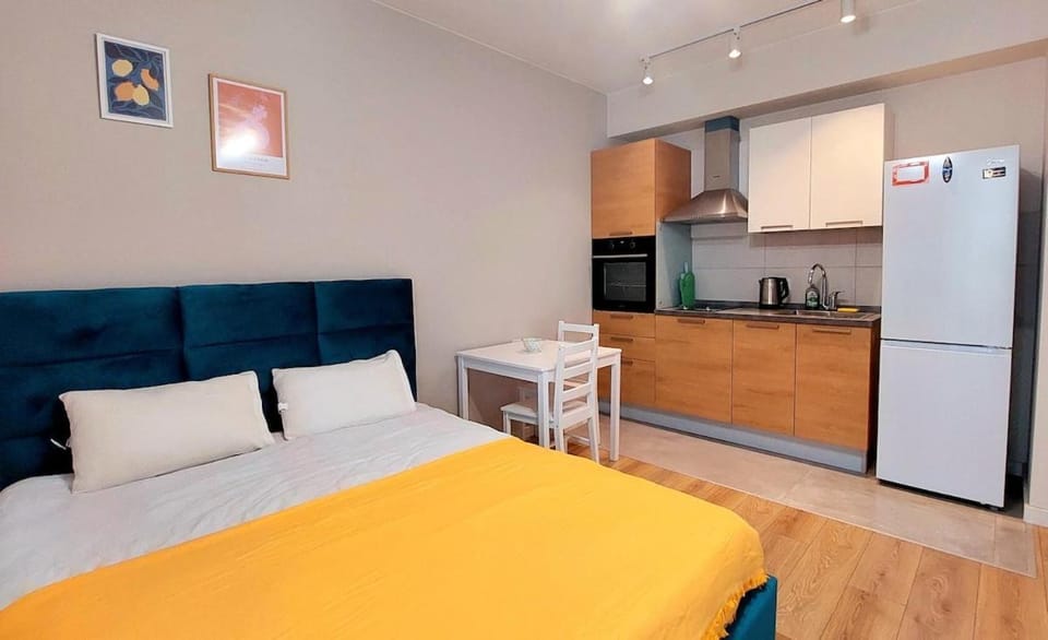Bed, Kitchen or kitchenette, Photo of the whole room, Dining area, Bedroom, dishwasher, oven, stove