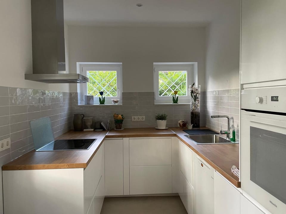 Kitchen or kitchenette, dishwasher, stove